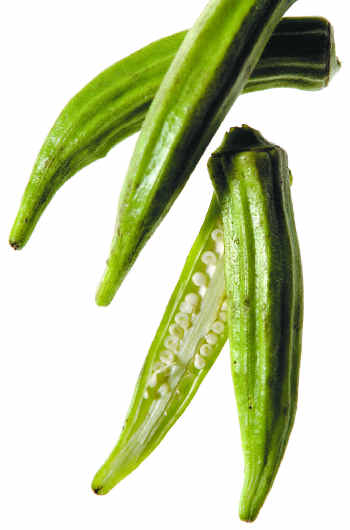 bendi bendi